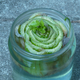 Illustration for article titled How to Grow Unlimited Celery Without Entering the Contra Code